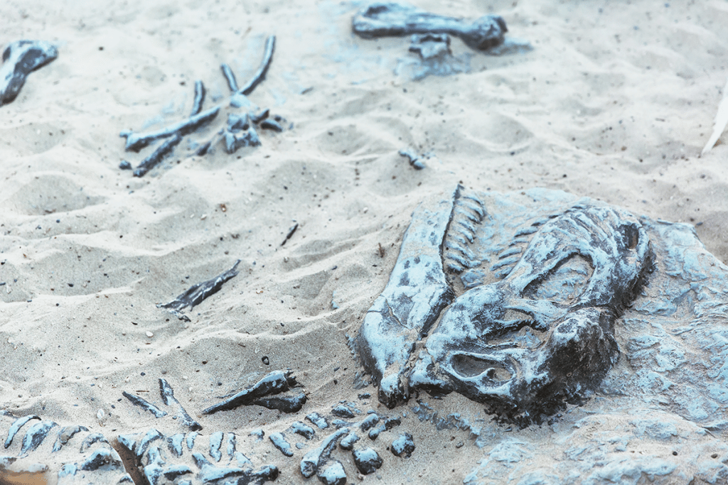 Dinosaur fossil in sand